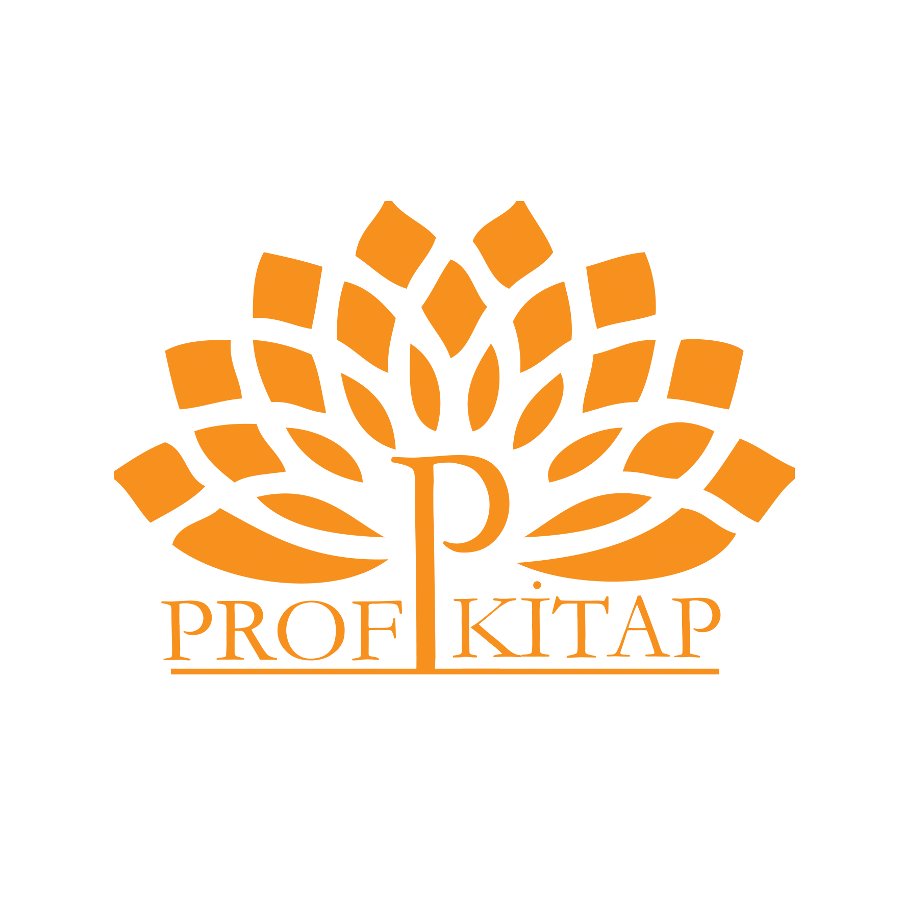 www.profkitap.com_og..png (617 KB)