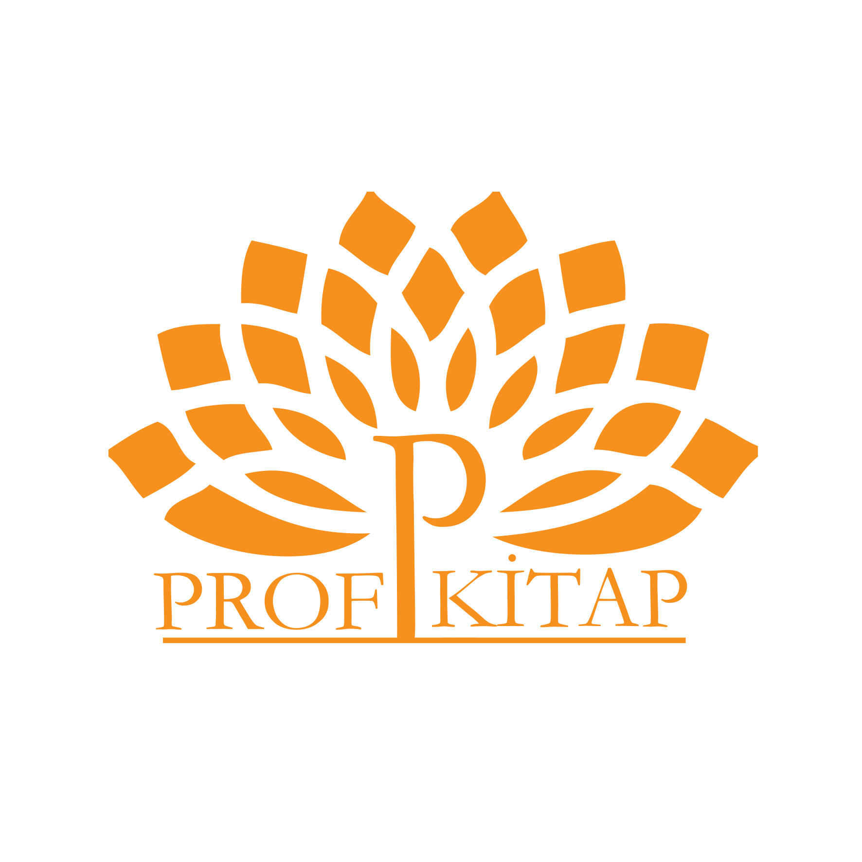 www.profkitap.com