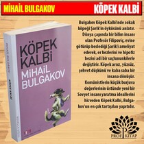 En Çok Okunan Çocuk Klasikleri (4 Kitap) - Thumbnail