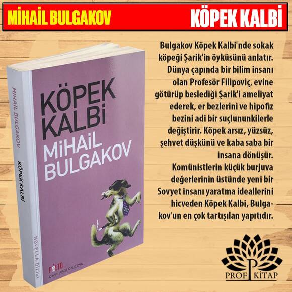 En Çok Okunan Çocuk Klasikleri (4 Kitap)