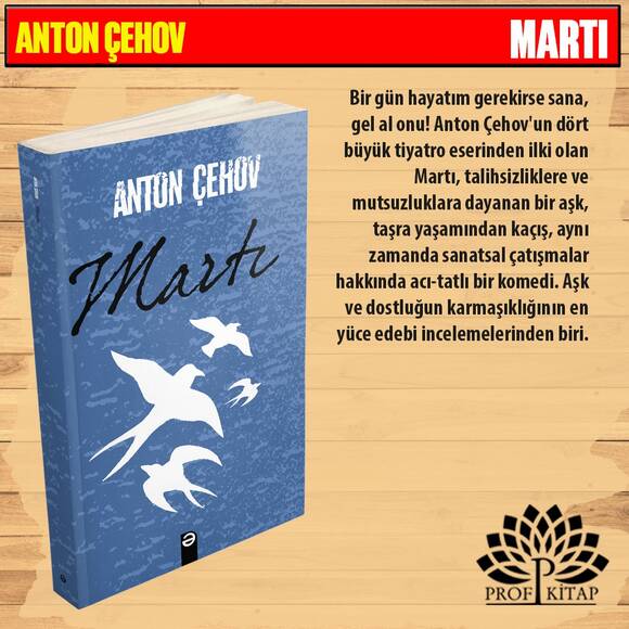 En Etkileyici Bestseller Set 1 (4 Kitap)