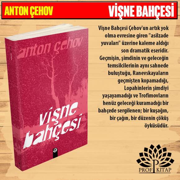 En İyi Yazar EN İyi Kitaplar Set 2 (4 Kitap)