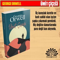 George Orwell Seti (4 Kitap) - Thumbnail