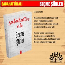 Sabahattin Ali Set 2 (4 Kitap) - Thumbnail