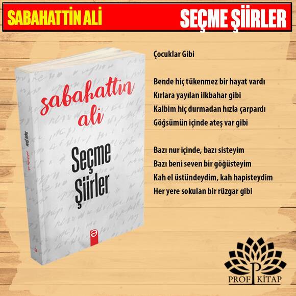 Sabahattin Ali Set 2 (4 Kitap)