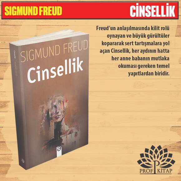 Sigmund Freud Seti (4 Kitap)