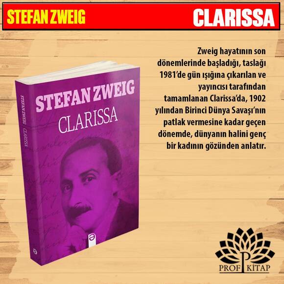 Stefan Zweig Seti (4 Kitap)